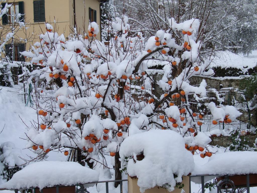 Villa Nobili B&B Bagno a Ripoli Pokoj fotografie