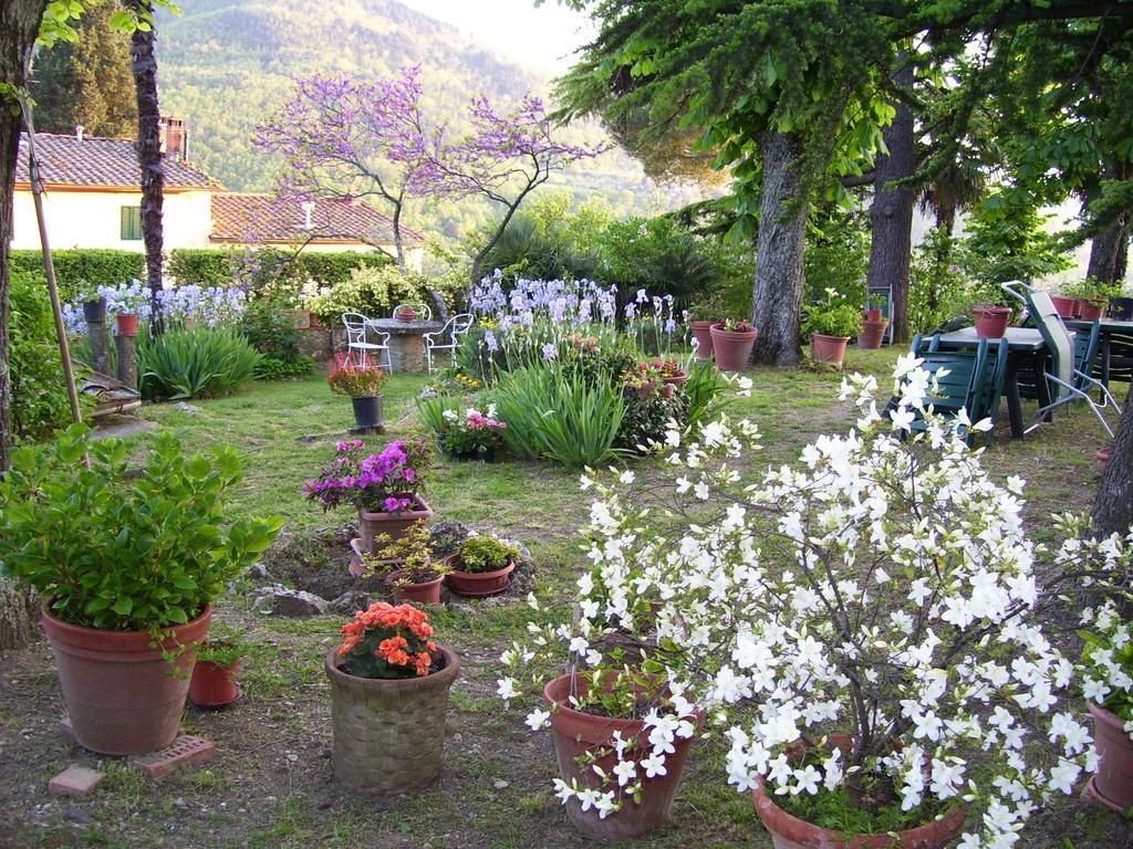 Villa Nobili B&B Bagno a Ripoli Pokoj fotografie